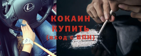 дживик Верея