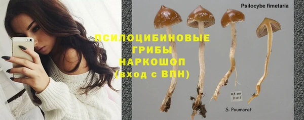 дживик Верея