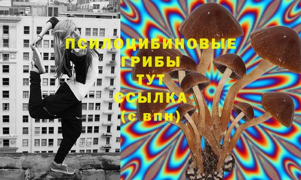 дживик Верея