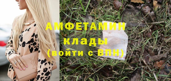 дживик Верея